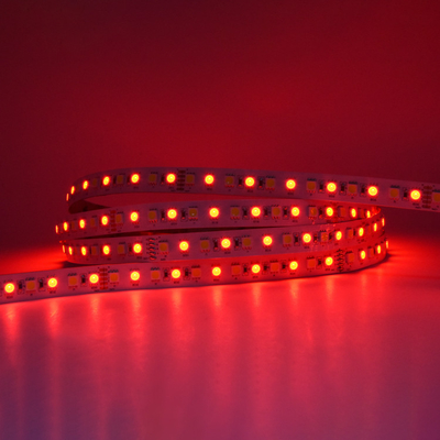 Lampade fluorescenti DC24V 96LEDs/M di RGB W LED dell'automobile