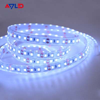 120 LED/m luce laterale LED striscia ADS-D2835-120W-24