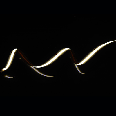 Pannello di alluminio, striscia LED COB senza punti con 528 LED su nastro da 10 mm e colore 2700K/6500K